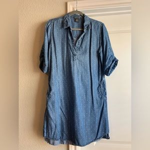 CHELSEA & THEODORE Tencel Chambray Polka Dot Shift Dress
